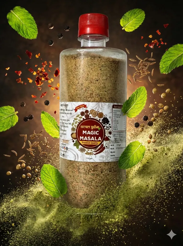CHATPATA PUDINA MAGIC MASALA | 480GM
