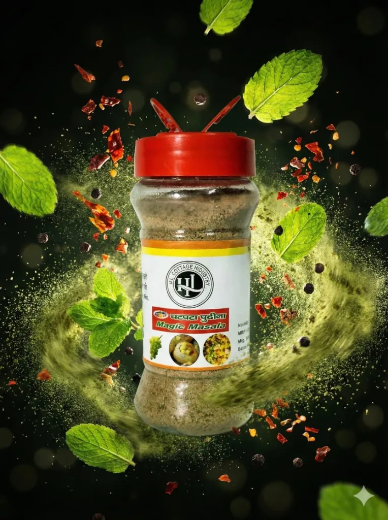CHATPATA PUDINA MAGIC MASALA SPRINKLER | 180GM |